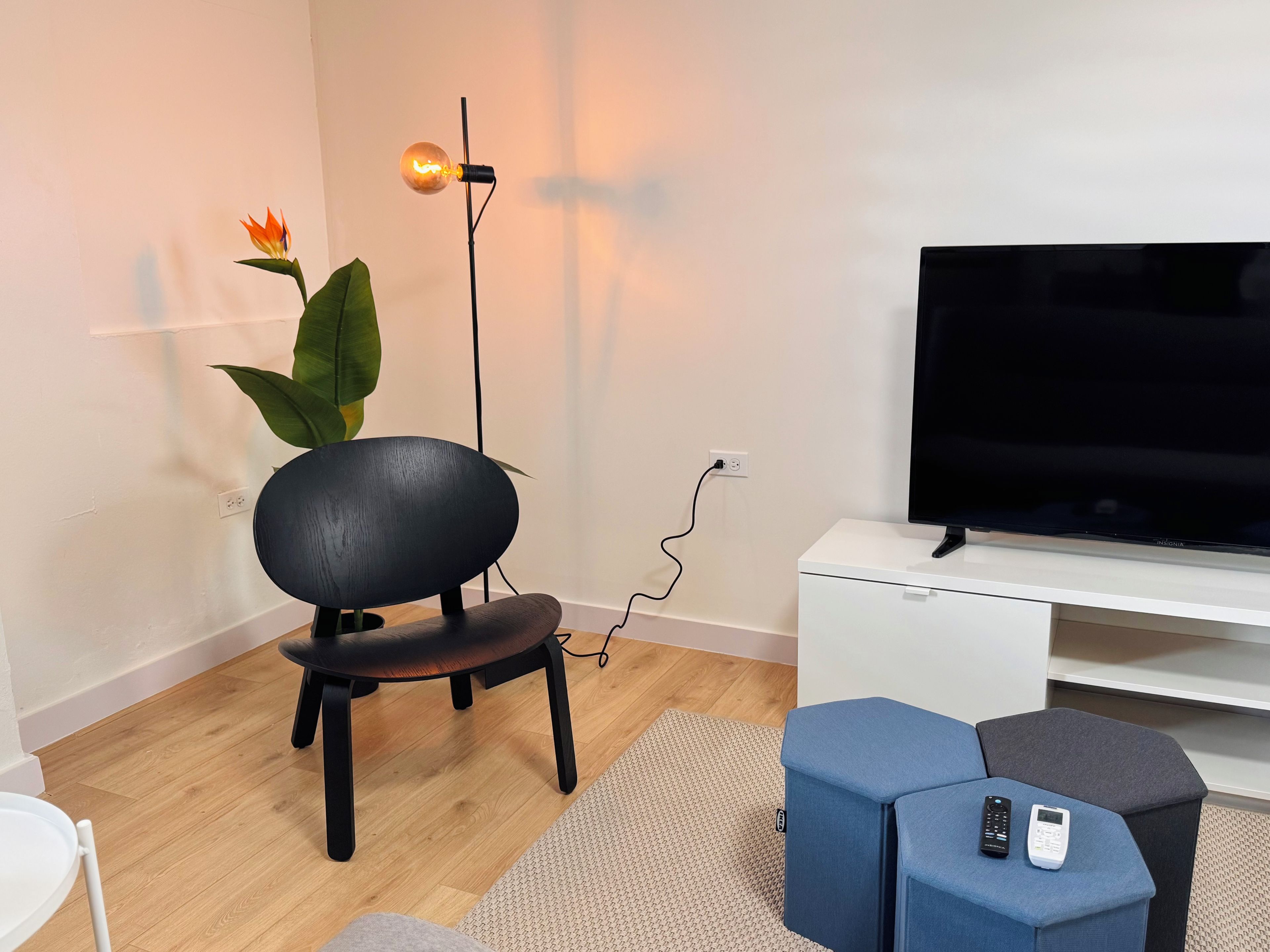 Een moderne woonkamer met een flatscreen televisie, een zwarte stoel, een plant in pot en een vloerlamp.