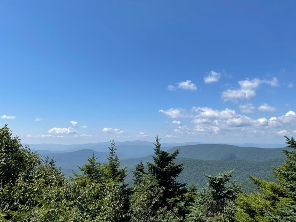 A mountainous landscape with dense forest and a clear sky.