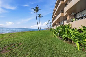 Ein Strandhotel mit gepflegter Rasenfläche, Palmen und Blick auf den Ozean.