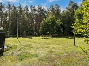 Ein grasbewachsenes Areal im Freien mit Bäumen und einer Metallkonstruktion.