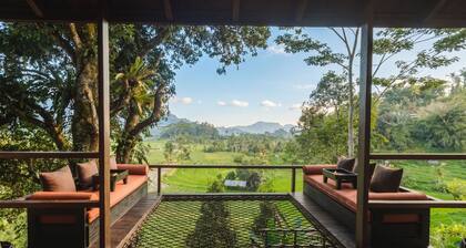 Shibumi Sanctuary Sidemen - Adults Only