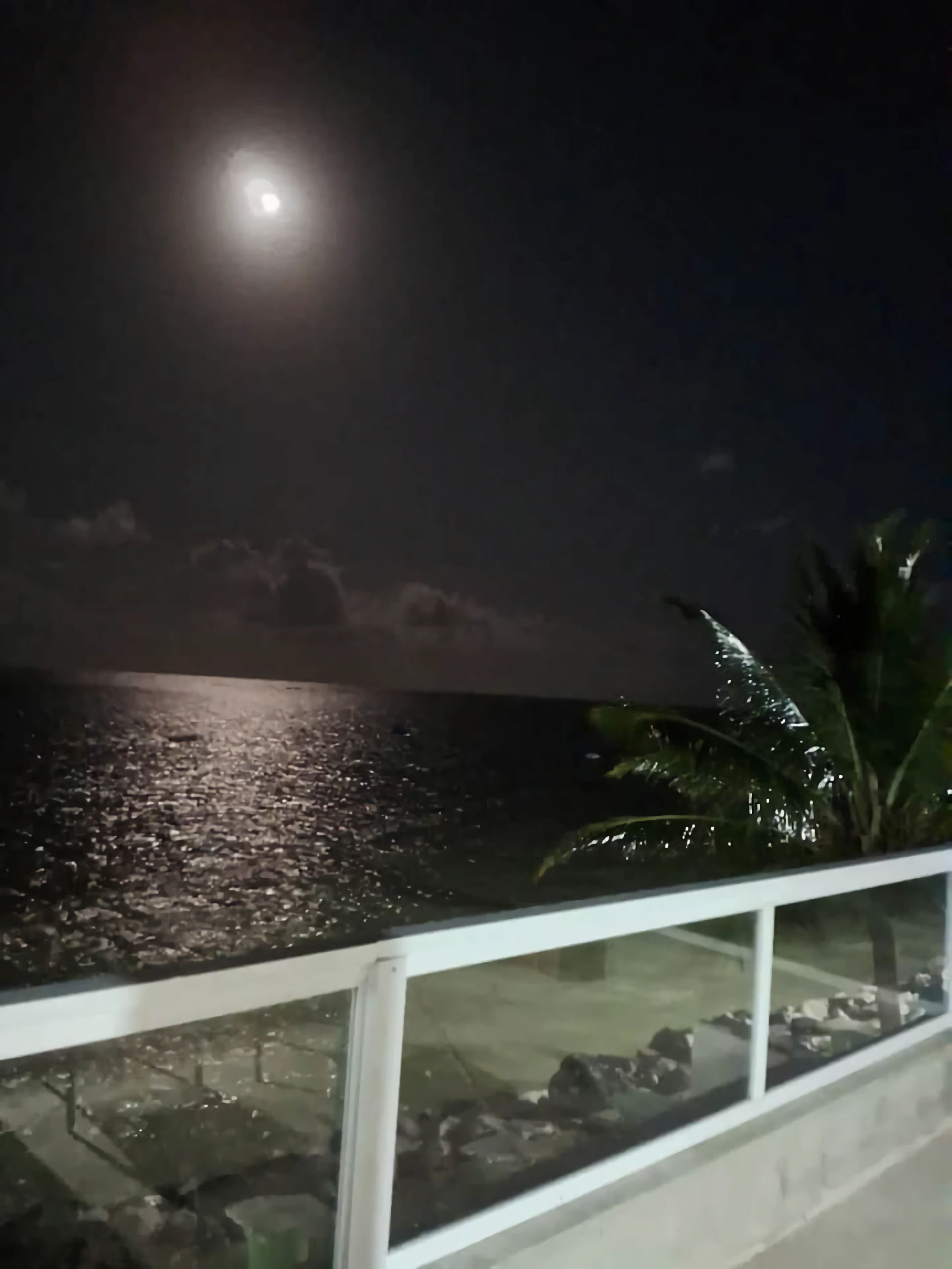 A nighttime view of a body of water with a moon in the sky, a railing, and some foliage.
