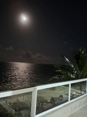 A nighttime view of a body of water with a moon in the sky, a railing, and some foliage.