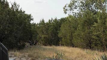 A campsite with two chairs facing a fire pit surrounded by rocks and dry grass.