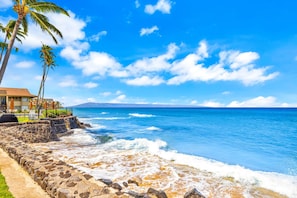 A beach with a stone wall, palm trees, and a clear blue sky. - Oceanfront Lahaina Oasis 1 Bedroom (Lahaina)
