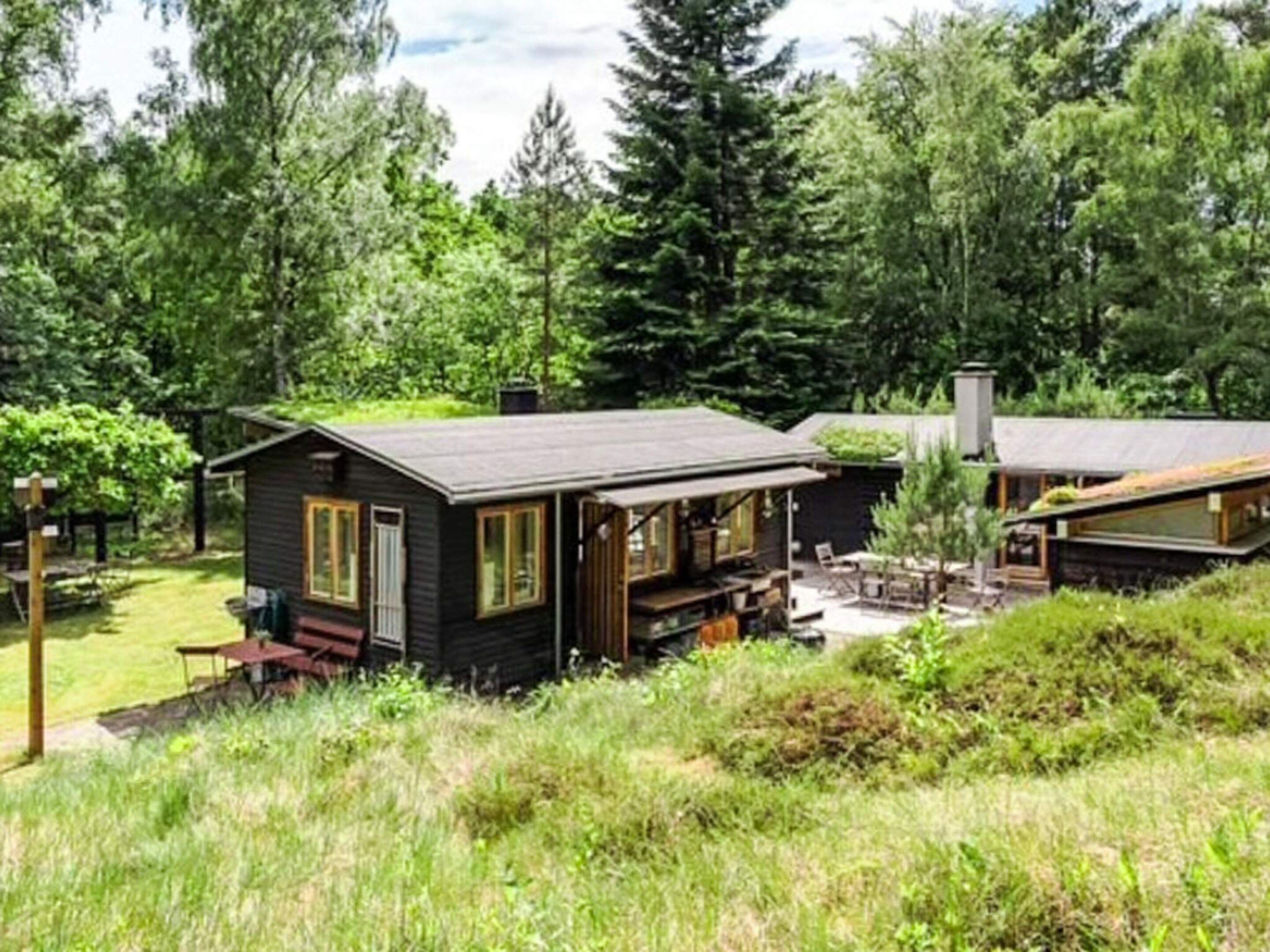A cabin with a deck, surrounded by dense forest.