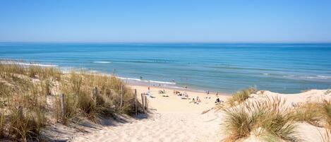 A sandy beach with dunes and a clear blue sky.