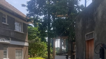 A courtyard with a garden, a building with a stone wall, and a wooden door.