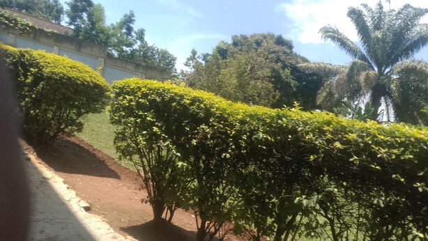 Basic Single Room, Courtyard View | Property grounds - Seven Days Motel (Entebbe)