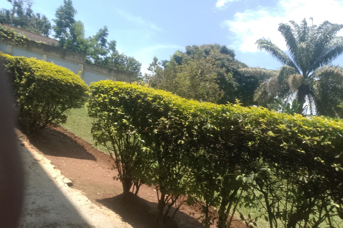 Basic Single Room, Courtyard View | Property grounds