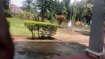 A paved driveway leading to a gated entrance with a well-maintained lawn and a variety of trees.