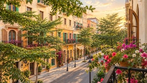 Rua com edifícios, plantas em vasos e céu claro.