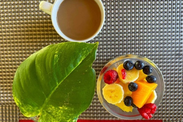 Repas de petit déjeuner