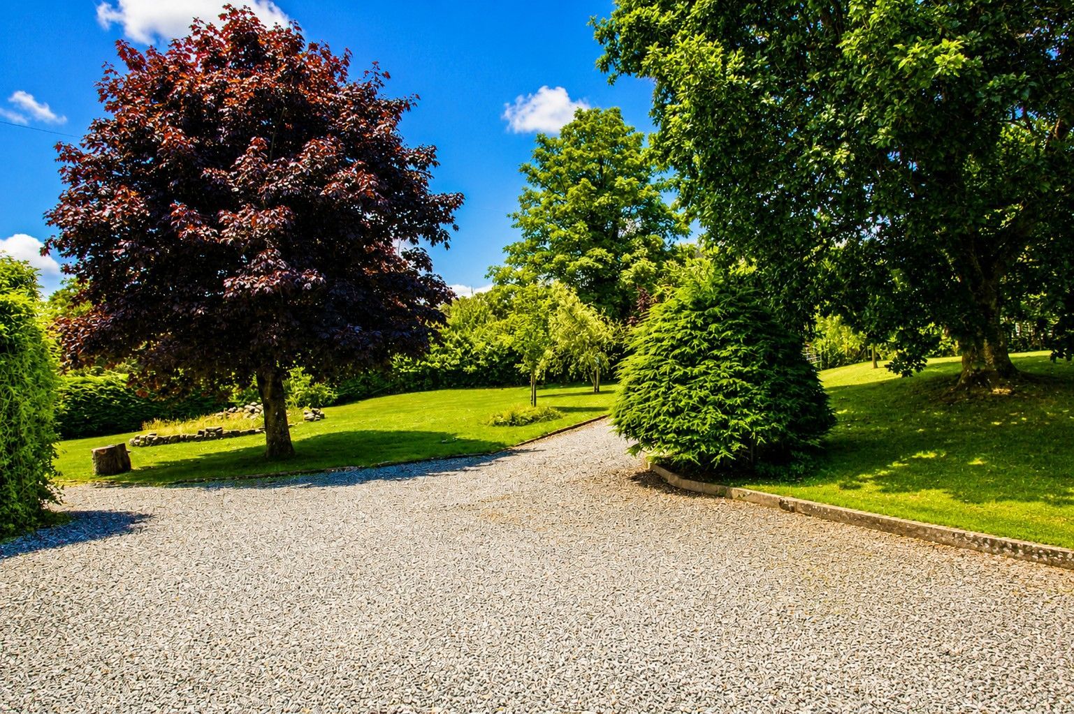 A gravel pathway leading through a park with various trees and a clear blue sky.