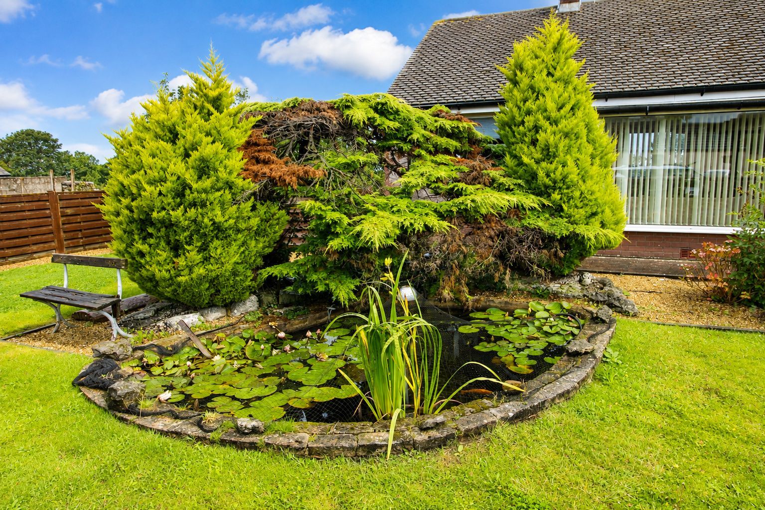 A garden with a pond, a bench, and a house in the background.