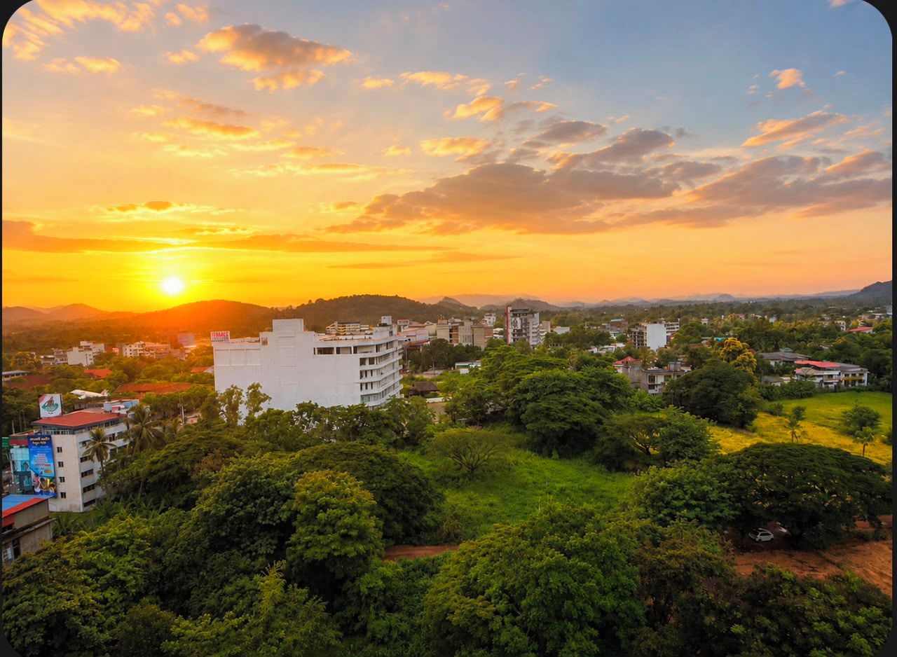 Paesaggio urbano con edifici, alberi e un tramonto.