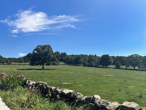 A rural landscape with a stone wall, a large tree, and a clear blue sky. - Knotty and Nice - UKC9953 (Harrogate)