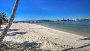 Una playa con una palmera, cielo azul despejado y un muelle que se adentra en el agua.
