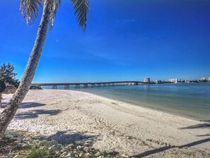 Una playa con una palmera, cielo azul despejado y un muelle que se adentra en el agua.