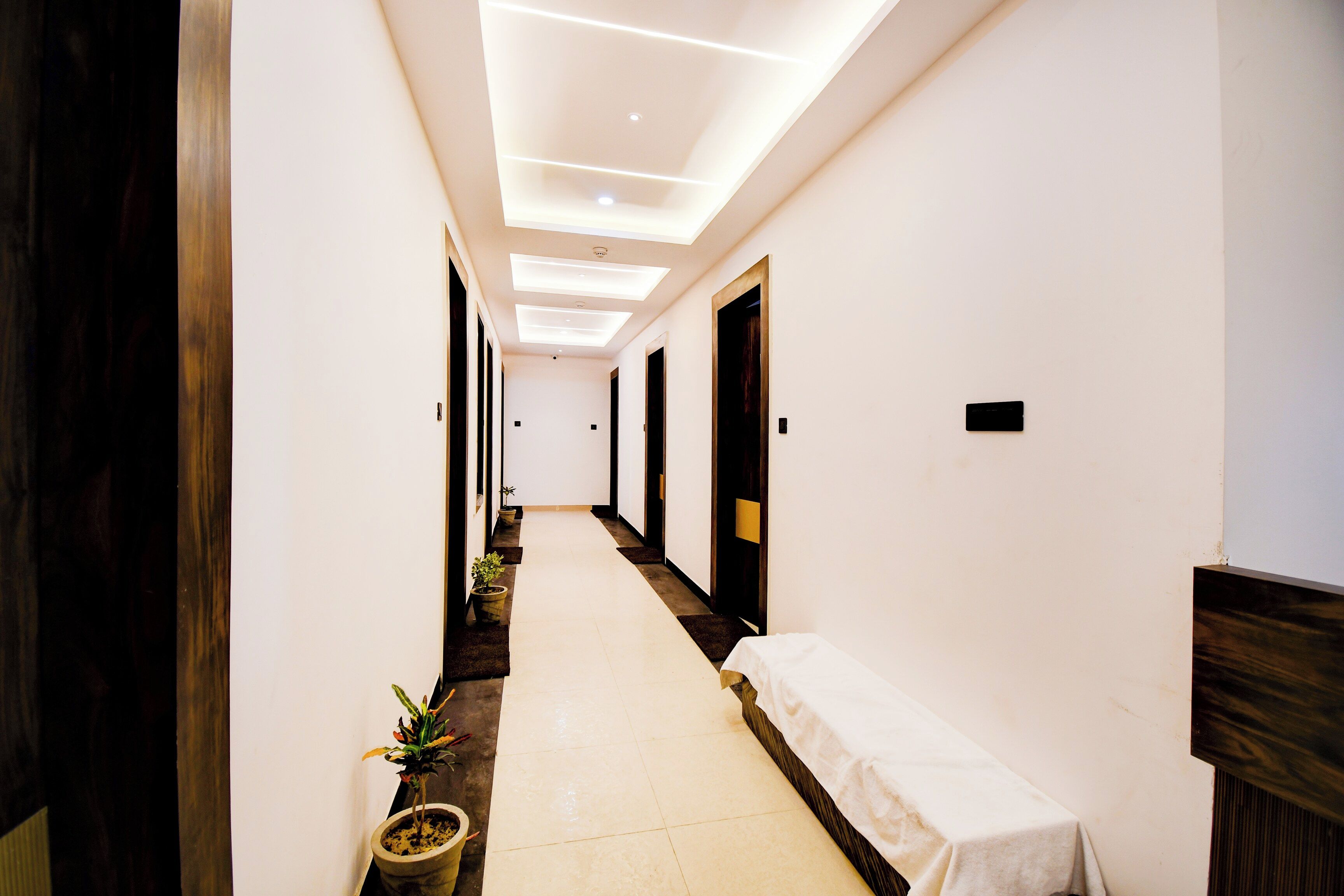Un pasillo de hotel con una distribución larga y estrecha, una recepción y plantas en macetas a lo largo de las paredes.