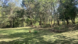 A grassy area with trees and a pile of logs. - Serene 3-bedroom building in charming Kakamega County perfect for relaxing (Kakamega County)