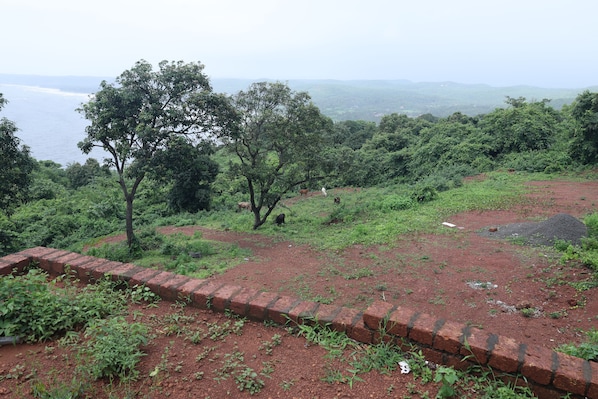 A natural landscape with trees, a brick wall, and a distant view of the sea.