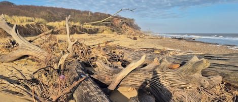 A beach with driftwood and a rocky shoreline.