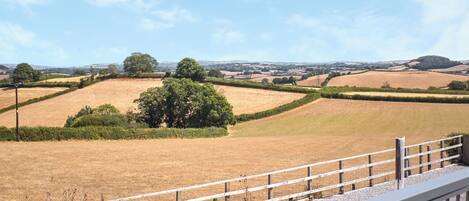 A rural landscape with rolling hills, a large tree, and a fence.