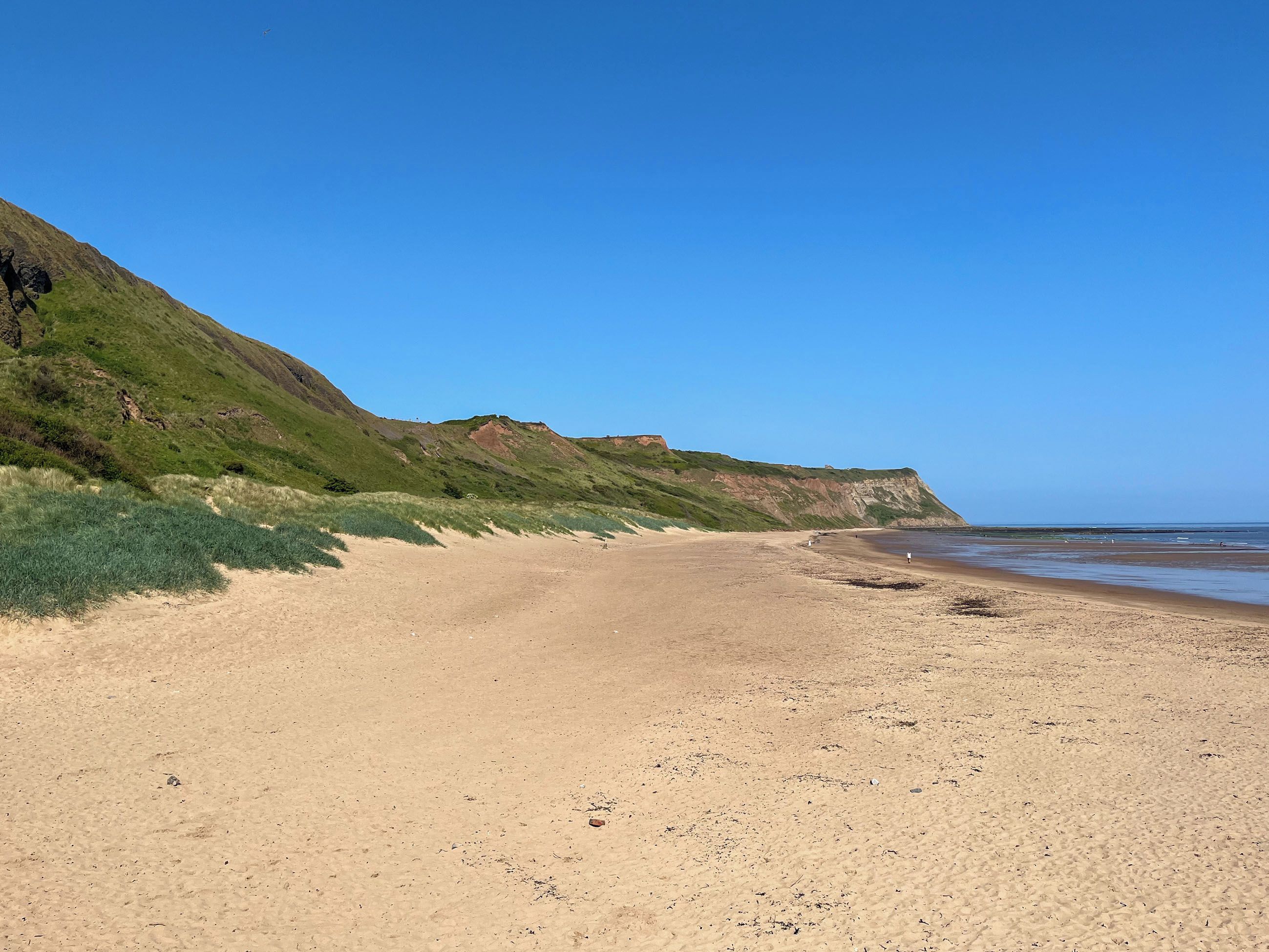 Une plage avec un ciel dégagé, un rivage sablonneux et des collines verdoyantes en arrière-plan.