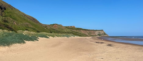 Une plage avec un ciel dégagé, un rivage sablonneux et des collines verdoyantes en arrière-plan.