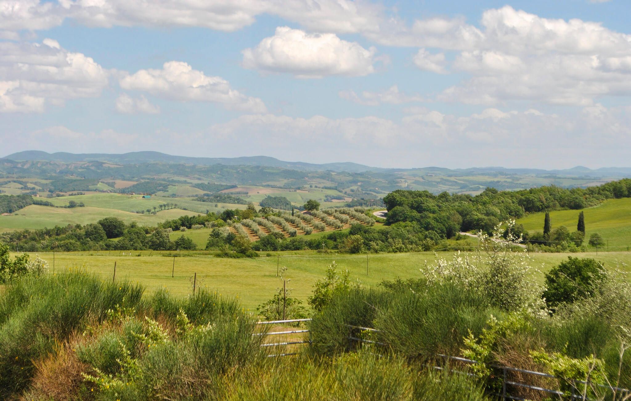 Een landelijk landschap met glooiende heuvels, een omheining en op de achtergrond bergen.