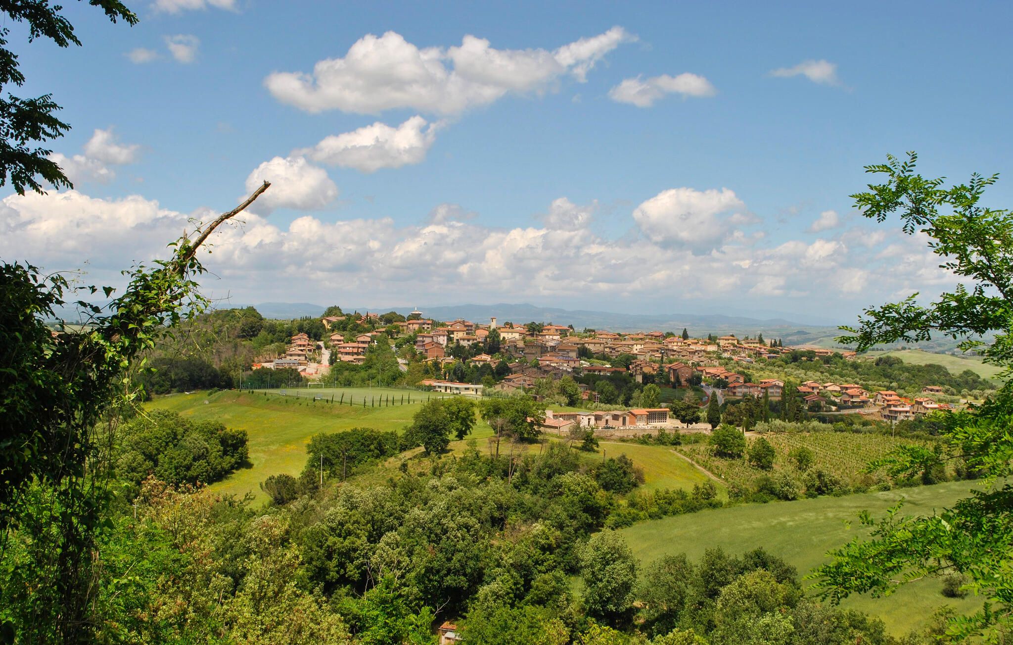 A rural landscape with a village, green fields, and scattered trees.