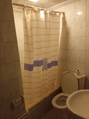 Ein Badezimmer mit Duschvorhang, Toilette und Handtuchhalter.