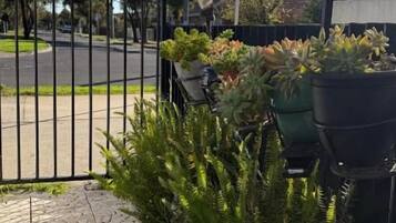 Un chemin pavé mène à une entrée fermée par un portail, agrémentée de plantes en pot, avec une rue en arrière-plan.