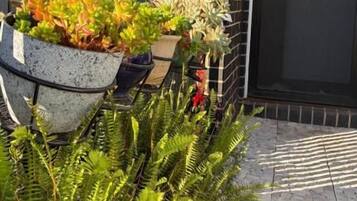 Un bâtiment moderne avec une façade en briques, une porte noire et un pot de fleurs contenant une plante à feuillage vert.