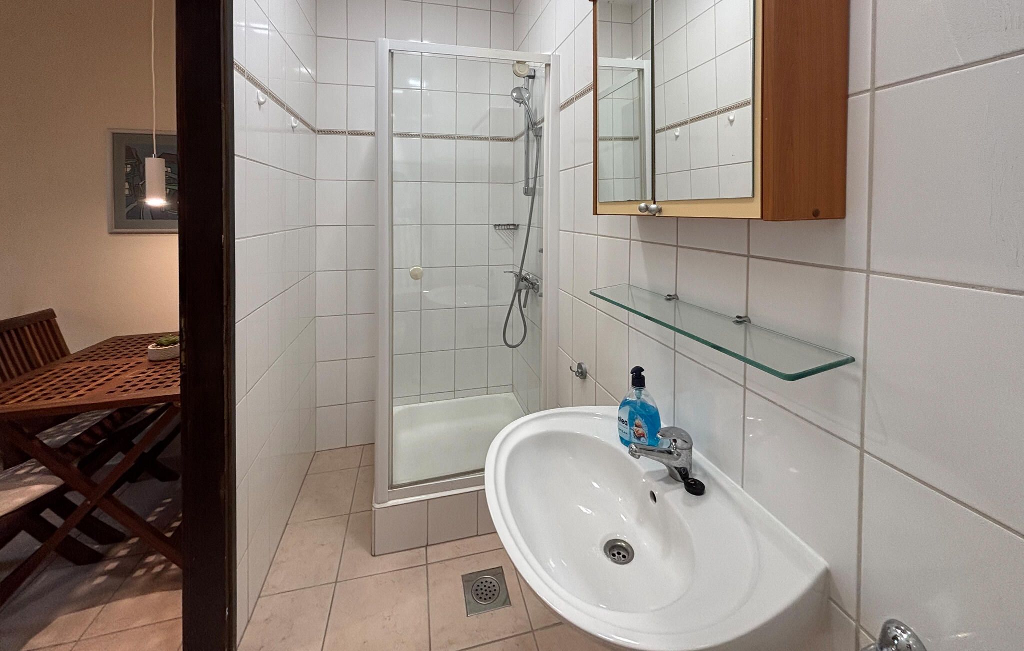 A bathroom with a glass shower enclosure, a white sink with a soap dispenser, and a mirror above the sink.