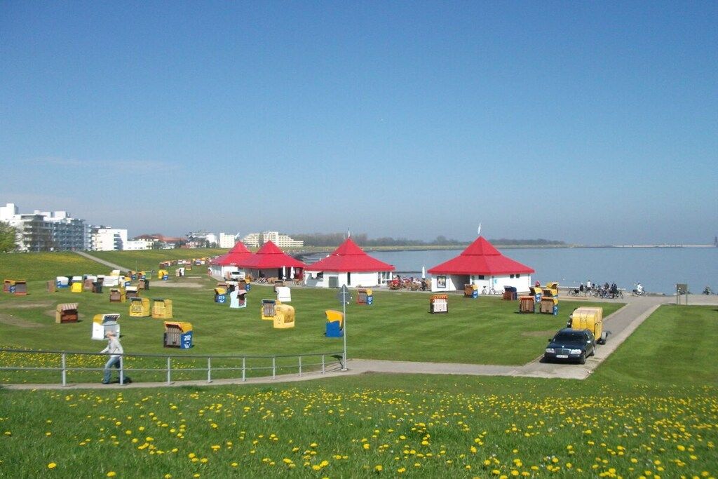 A coastal area with red-roofed structures, a grassy field with yellow flowers, and a body of water in the background.