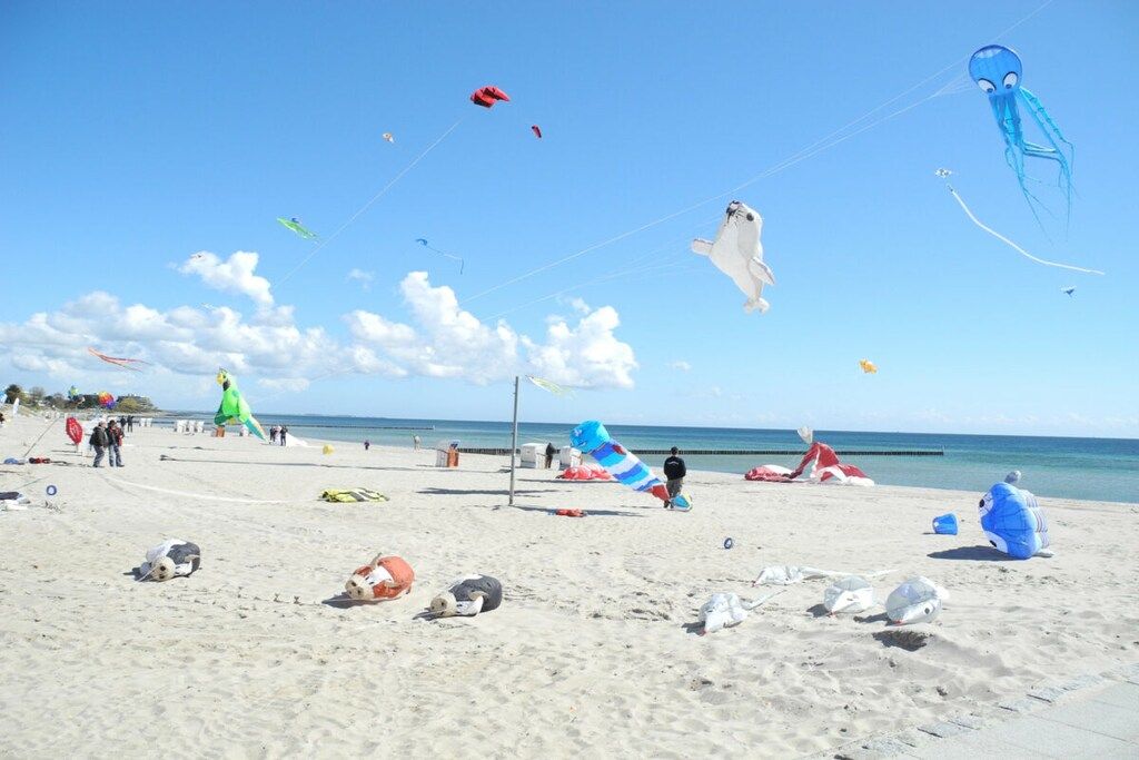 Ein Strand mit verschiedenen Drachen und Strandbesuchern.