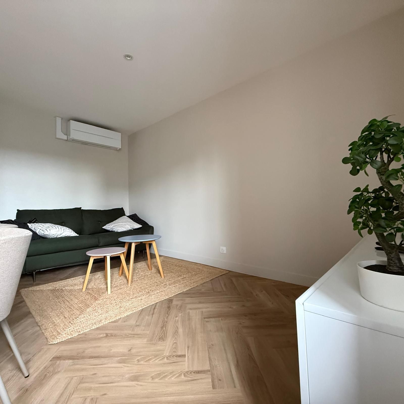 En moderne stue med en grøn sofa, to små borde, en vævet måtte og en potteplante.