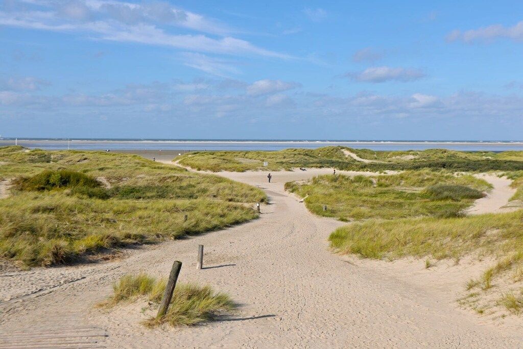 A sandy path leading to a beach with dunes on either side.