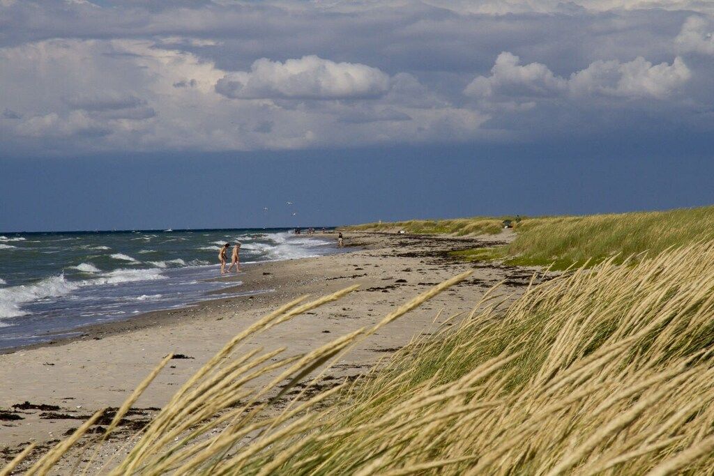A beach with sand, grass, and the ocean.