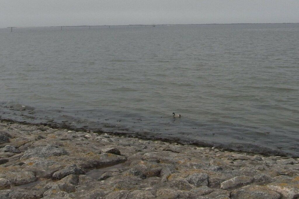 A rocky shoreline with calm water and a distant view of a bridge.