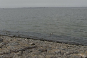 A rocky shoreline with calm water and a distant view of a bridge. - Holiday apartment with 1 bedroom (Werdum)