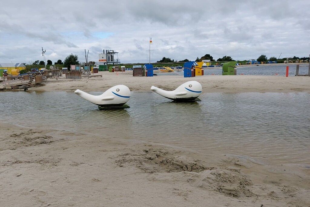 Une plage de sable où l’on peut admirer deux sculptures blanches en forme de cygnes, installées dans l’eau.