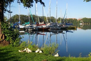 A calm lake with several sailboats docked along the shore.