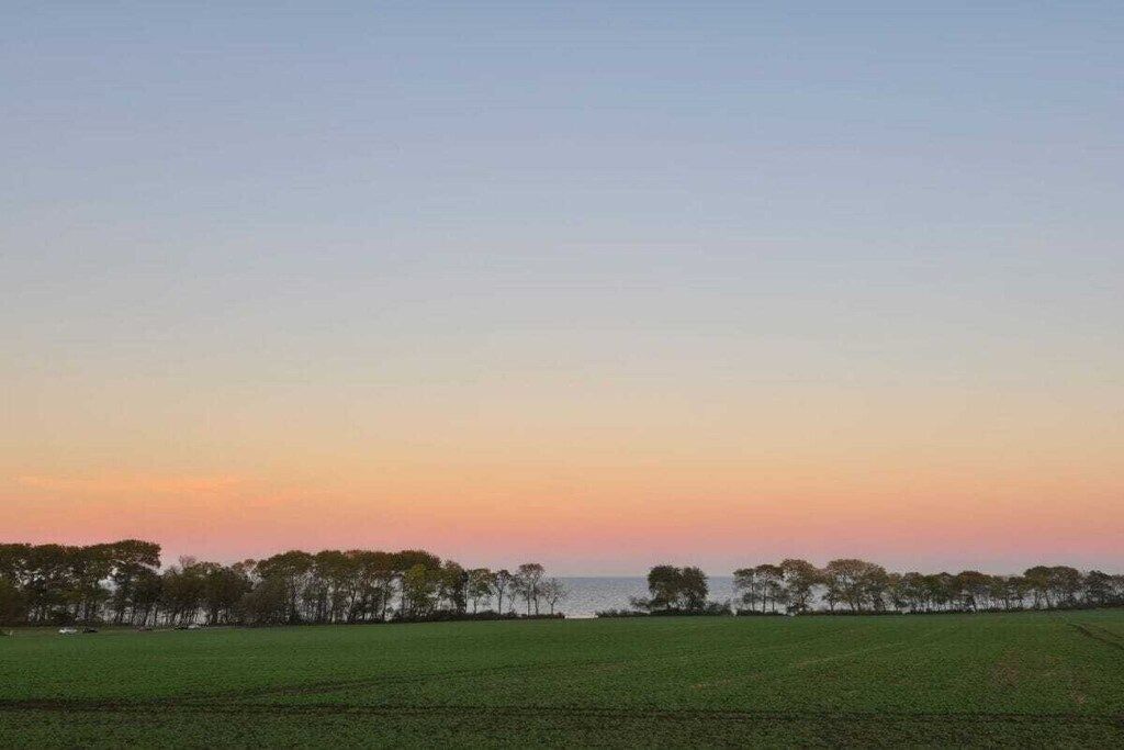 A flat landscape with a body of water in the distance and a line of trees at the horizon.
