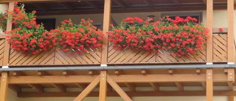 A building with a wooden balcony structure supporting flower boxes with red flowers.