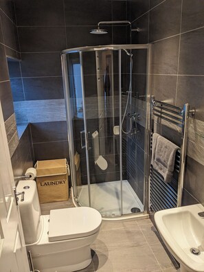 Een moderne badkamer met een douchecabine, een toilet en een wastafel.