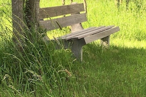 A wooden bench in a grassy area. - Holiday apartment with 2 bedrooms (Bischoffen)