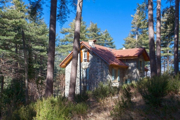 Exterior - Casa Alta (Vivario)